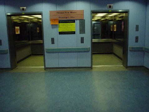 醫(yī)院亞麻地板工程案例-英國倫敦Thomas Guy Hospital