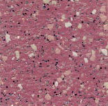 產品名稱雅卓 Altro lmpressionist