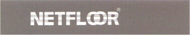 NET FLOOR網(wǎng)絡(luò)地板