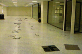 防靜電PVC地板安裝于網(wǎng)絡(luò)地板上